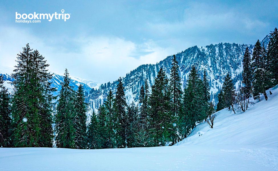 Himachal Hillstation Holidays | Bookmytripholidays | Flash deal